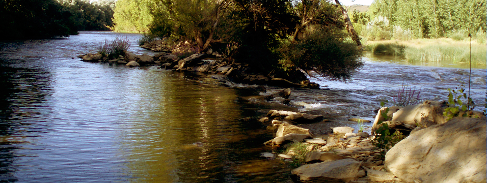 Almaraz de Duero